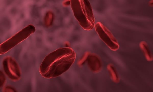 Японские учёные изобрели искусственную кровь